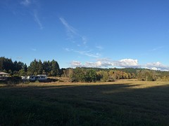 IMG_2807