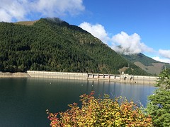 IMG_2901