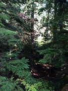 IMG_2910
