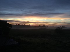 IMG_3799