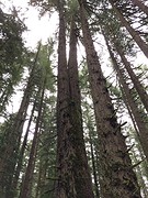 IMG_4193