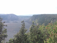 IMG_4798