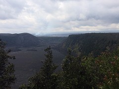 IMG_4800