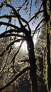 IMG_6272