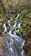 IMG_6275