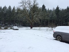 IMG_5706