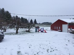 IMG_5708