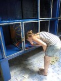 Schilderen in het weeshuis
