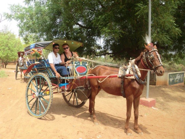 Horse cart