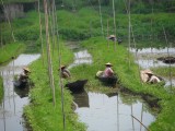 Inle Lake
