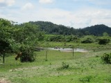 National Park