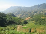 Sapa