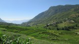 Sapa