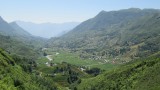 Sapa