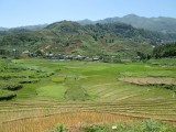 Sapa