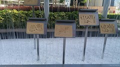 Garden of stars