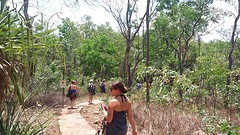 Hike
