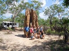 Termite mound