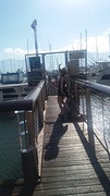 Haven