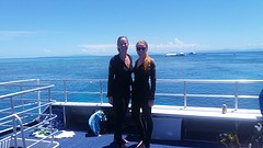 Sexy wetsuits