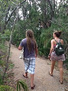 Wandelen