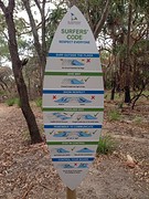 Surf rules