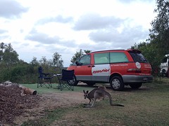 Kangaroo Sanctuary
