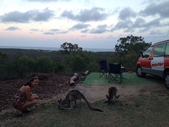 IMG-20170104-WA0247