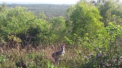 20161204_065152
