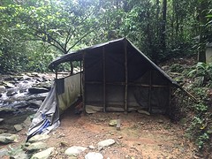 IMG_3012