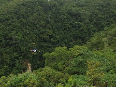 IMG_9583