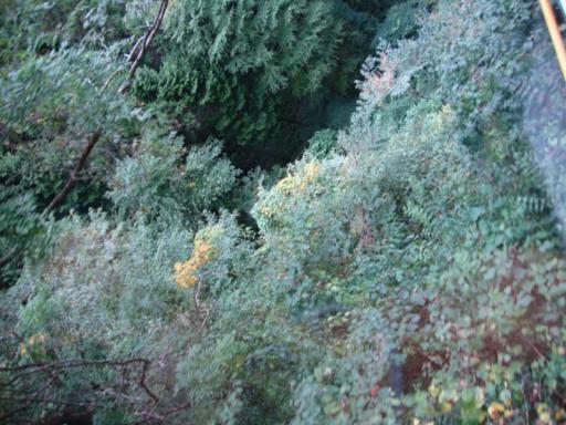 DSC00698