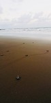 7334D741-499F-4ED0-9DB4-BD4D46A7B9A9