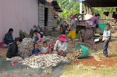 De familie werkte gewoon door.