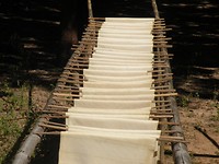 Drogen van het bewerkte rubber extract.