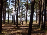 Palanga fietstocht
