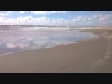 Palanga: strand