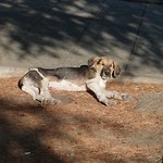 Georgië - goedemorgen!