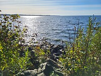 Loch Neagh