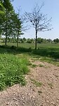 Als je navigatie zegt dat je route stopt…