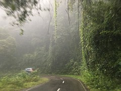 Laatste stuk naar Salta door het regenwoud