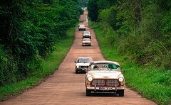 De weg door de jungle van en naar ons hotel in Iguazú Argentinië
