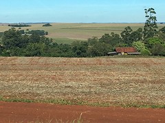 Landschap met rode aarde, onderweg naar Londrina