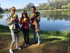 Cocosnoot, dé drank in het Ibirapuera park