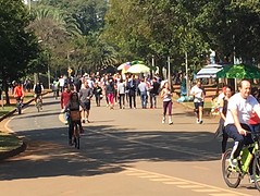 Ibirapuera park