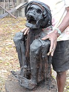 Baliemvallei/Papua/Jiwika