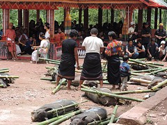 Toraja