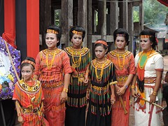 Toraja/Sulawesi