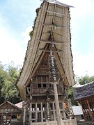 DSCN3063