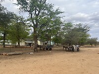IMG_0384